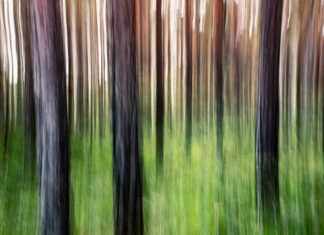 Lone Tree Arts Center: Discover Unique Experiences and Events