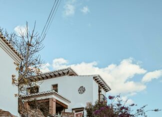 Day of the Dead Art: Discover Its Vibrant History and Meaning