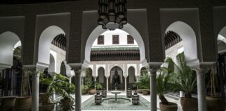 Marin Art and Garden Center: Discover Hidden Treasures Today!