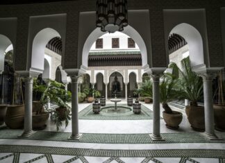 Marin Art and Garden Center: Discover Hidden Treasures Today!