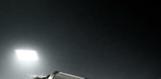 Adult Martial Arts Near Me: Unleash Your Inner Warrior Today!