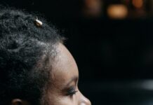 Palo Alto Art Center: Discover Creativity and Inspiration Today