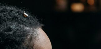 Palo Alto Art Center: Discover Creativity and Inspiration Today