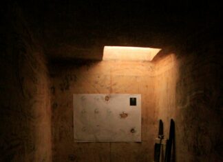 Celebi V Alt Art: Discover The Hidden Secrets Behind This Masterpiece