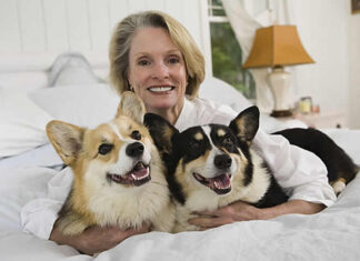 Designing Beautiful Homes When You Share with Dogs: Style, Comfort, & Safety dog bed, dog beds, large dog beds, best dog beds, outdoor dog beds, orthopedic dog beds, chew proof dog bed, raised dog bed, cooling dog bed, heated dog beds, waterproof dog beds, small dog beds, washable dog beds, memory foam dog beds, dog bites, why dogs bite