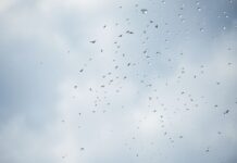 The Influence of Weather on Artistic Creativity and Cultural Expression The Influence of Weather on Artistic Creativity and Cultural Expression