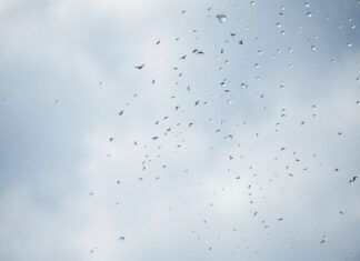 The Influence of Weather on Artistic Creativity and Cultural Expression The Influence of Weather on Artistic Creativity and Cultural Expression