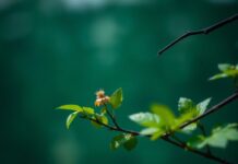 The Intersection of Art and Nature: Creative Inspirations The Intersection of Art and Nature: Creative Inspirations