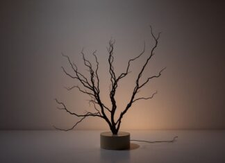 The Intersection of Light and Art: Illuminating Creativity The Intersection of Light and Art: Illuminating Creativity